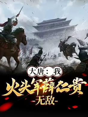 大唐：我，火头军薛仁贵，无敌封面
