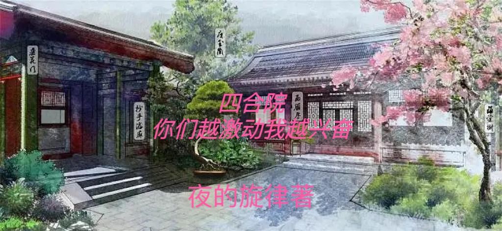 四合院:你们越激动我越兴奋封面