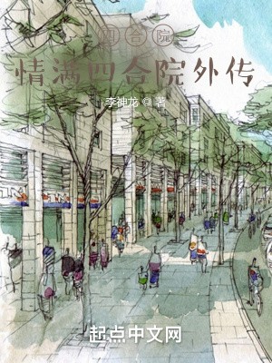 四合院：情满四合院外传封面