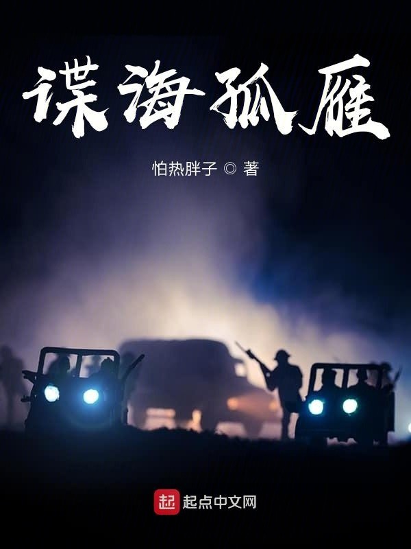 谍海孤雁封面