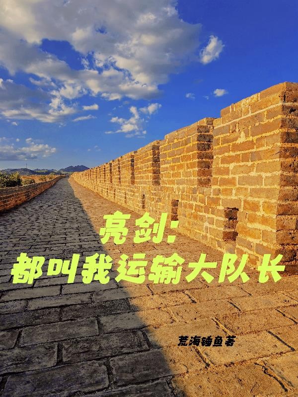 亮剑：都叫我运输大队长封面