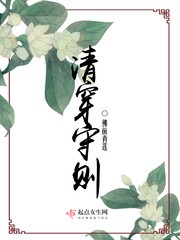 清穿守则封面