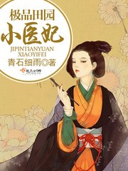 极品田园小医妃封面