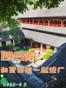 四合院:和贾东旭一起进厂封面