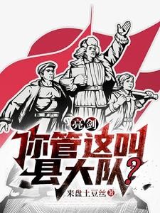 亮剑:你管这叫县大队?封面