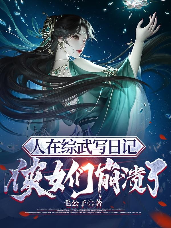 综武:人在大宋,开局一本日记封面