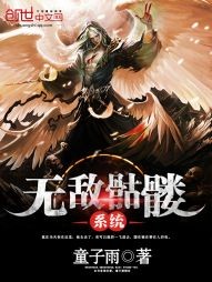 无敌骷髅系统封面