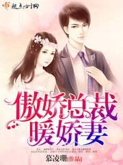 傲娇总裁暖娇妻封面