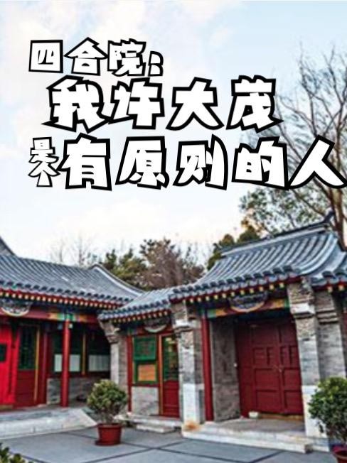 四合院:我许大茂是个有原则的人封面