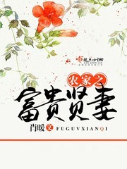 农家之富贵贤妻封面