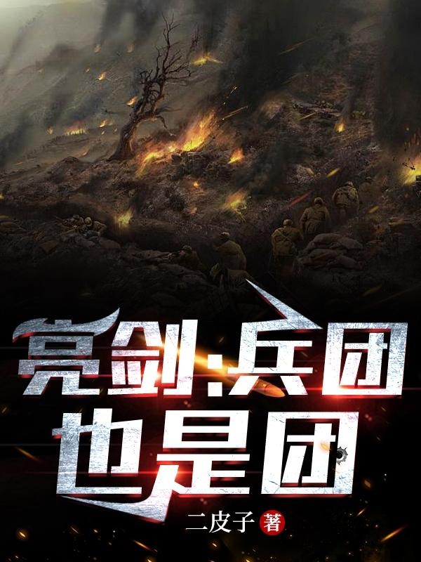 亮剑：兵团也是团封面