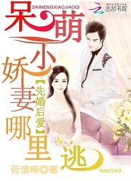先婚后爱：呆萌娇妻哪里逃封面