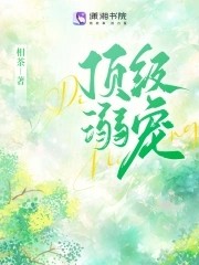 顶级溺宠封面