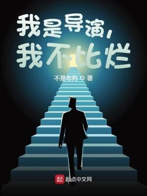我是导演，我不比烂封面