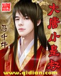 大唐小皇叔封面