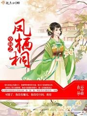 空间之凤栖桐封面