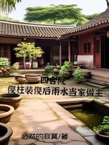 四合院，雨水当家傻柱赢麻了封面
