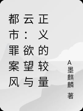 都市罪案风云：欲望与正义的较量封面