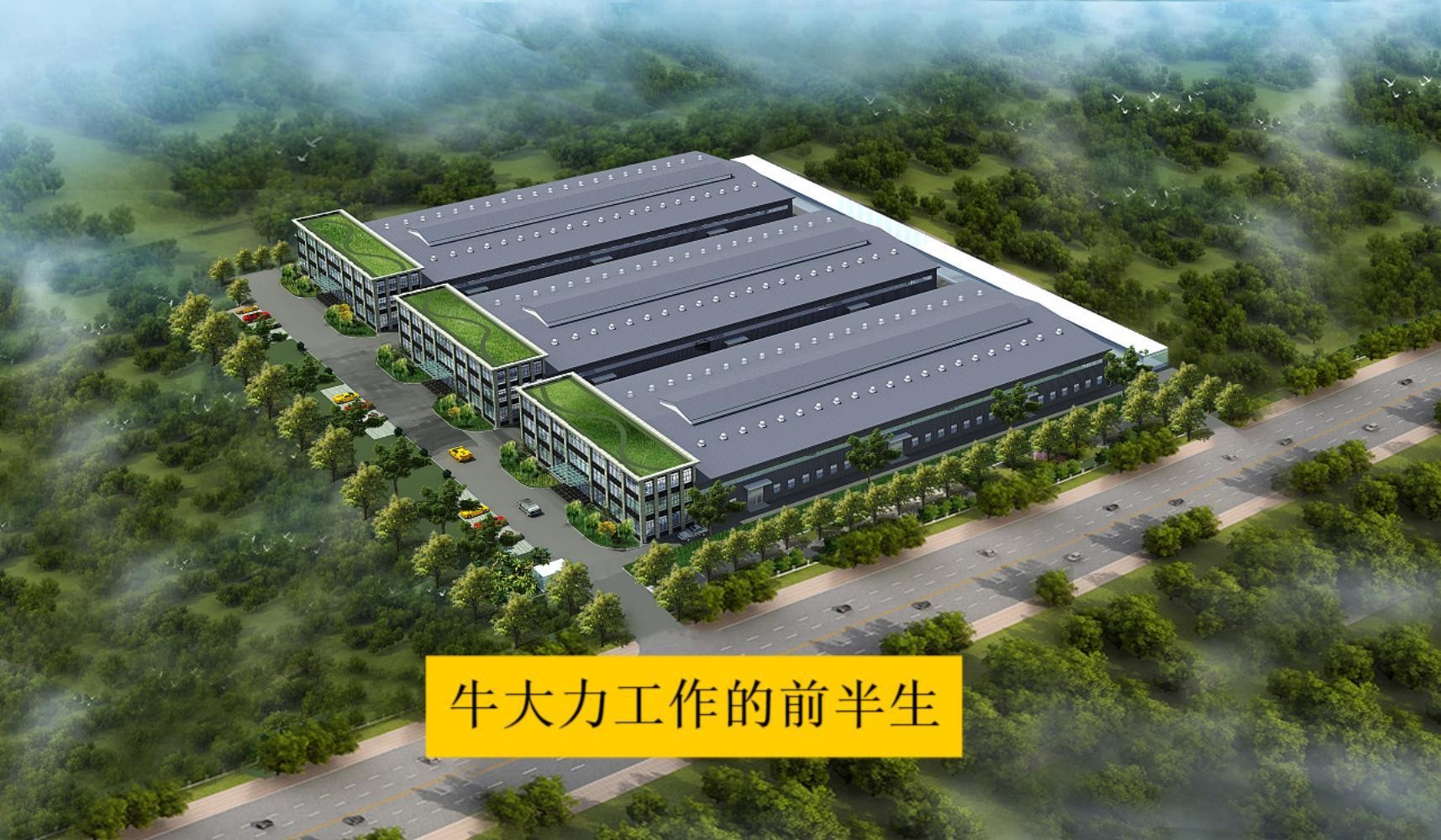 牛大力工作的前半生封面