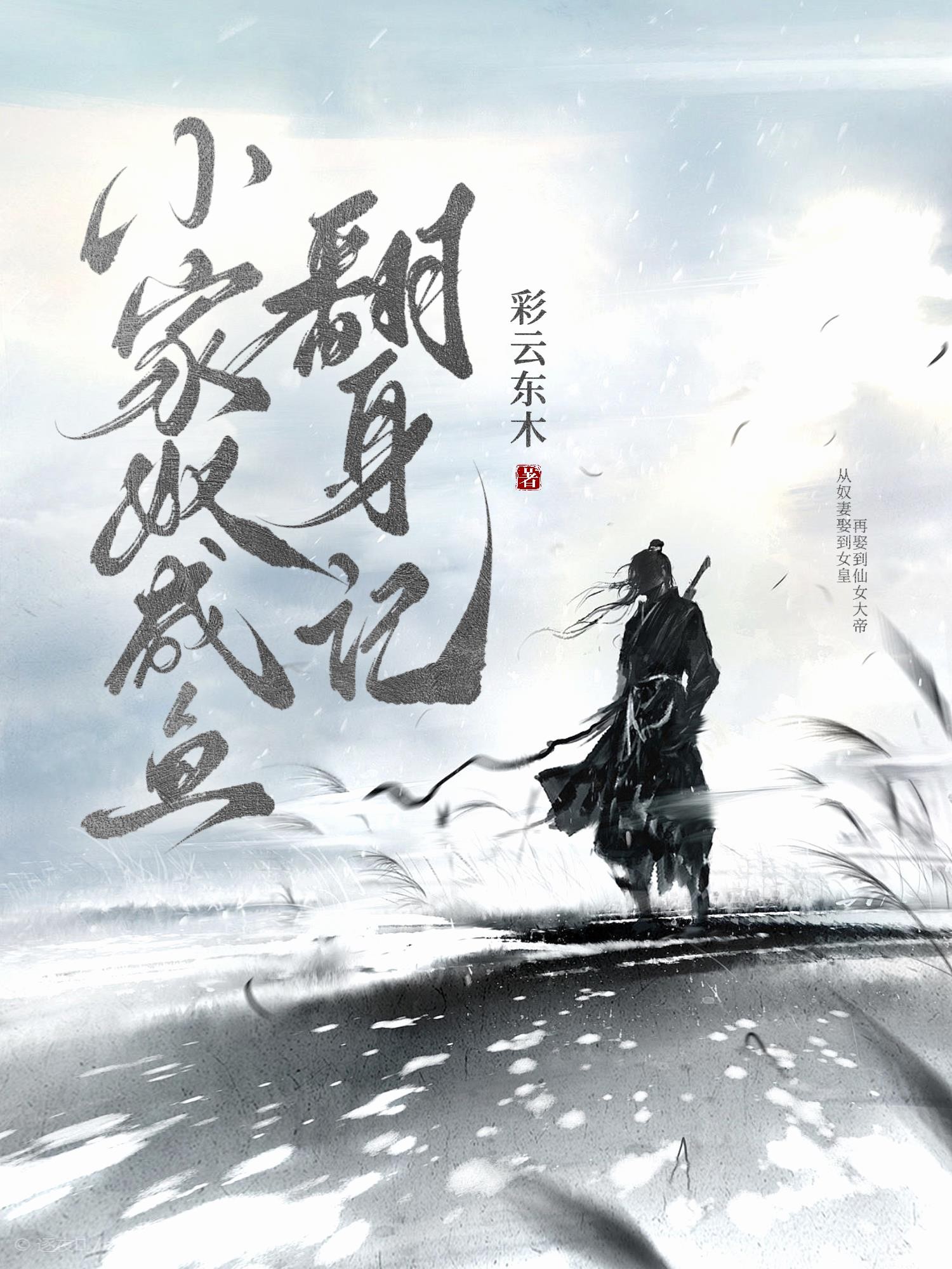 小家奴咸鱼翻身记封面