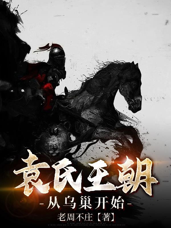 袁氏王朝：从乌巢开始封面
