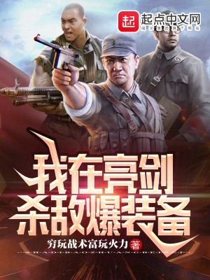 我在亮剑杀敌爆装备封面