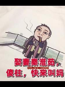 四合院，满院都是我下的崽封面