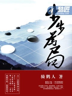 步步为局封面