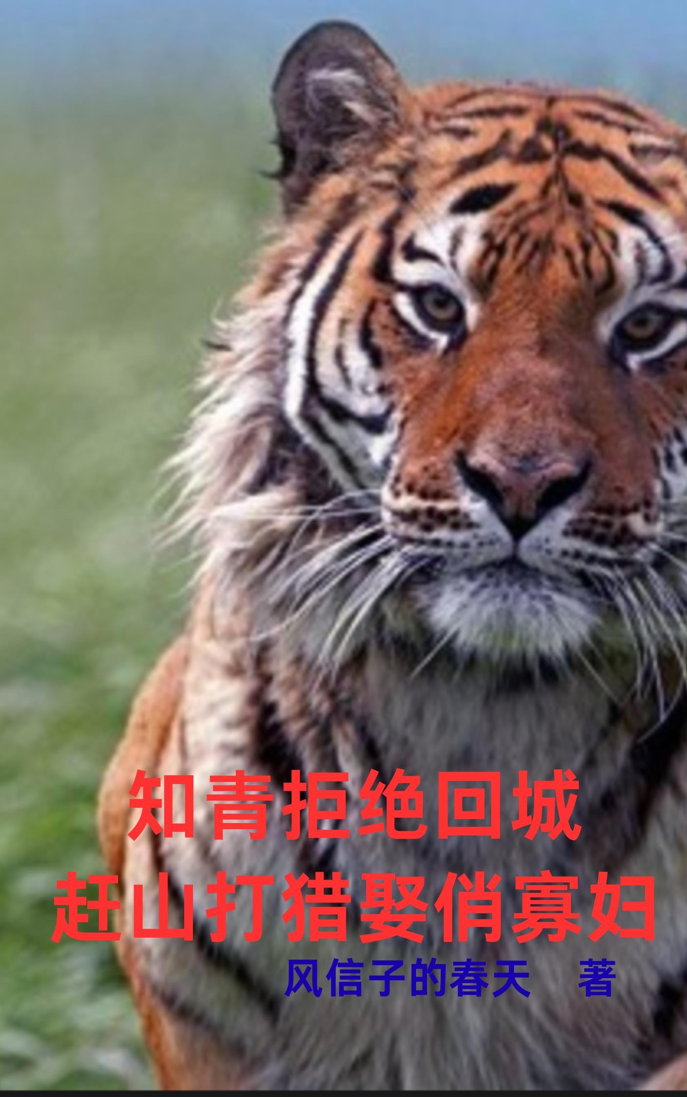 知青拒绝回城：赶山打猎娶俏寡妇封面