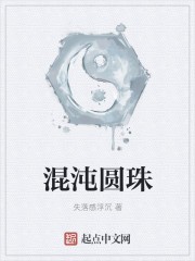混沌圆珠封面
