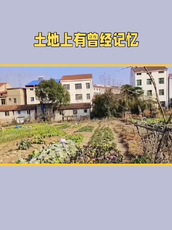 土地上有曾经记忆封面