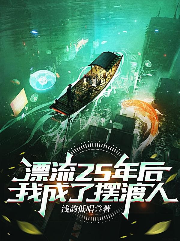 漂流25年后,我成了摆渡人封面