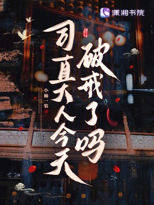 司直大人今天破戒了吗封面