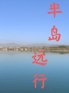 我在六扇门当捕头这些年