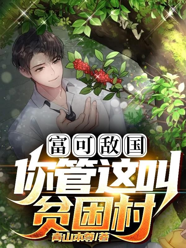 富可敌国,你管这叫贫困村封面
