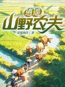 乡村:从继承万亩山庄开始封面