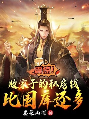 震惊！败家子的私房钱比国库还多封面