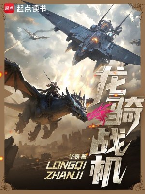龙骑战机封面