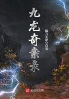 九龙奇案录封面