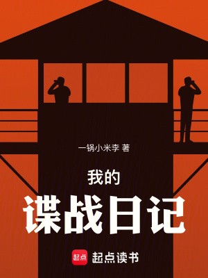 我的谍战日记封面