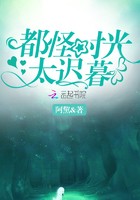 都怪时光太迟暮封面