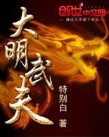 大明武夫封面