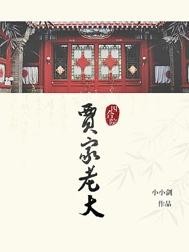 四合院,贾家老大封面
