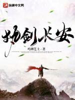 执剑长安封面