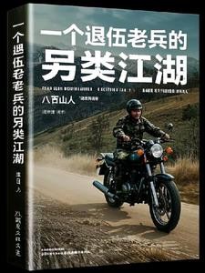 一个退伍老兵的另类江湖封面