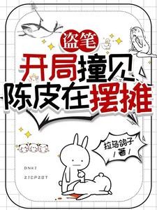 盗笔：从老九门开始的黑心莲封面