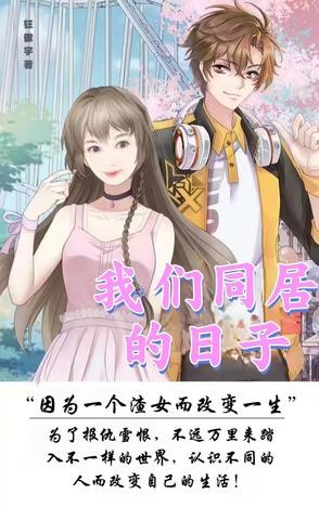 我们同居的日子封面