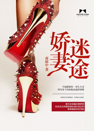 娇妻迷途封面