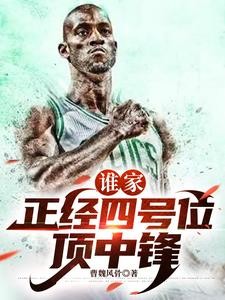 谁公认的历史第一大前锋?封面