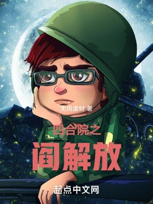 四合院之阎解放封面